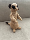 Erdmännchen Fredy