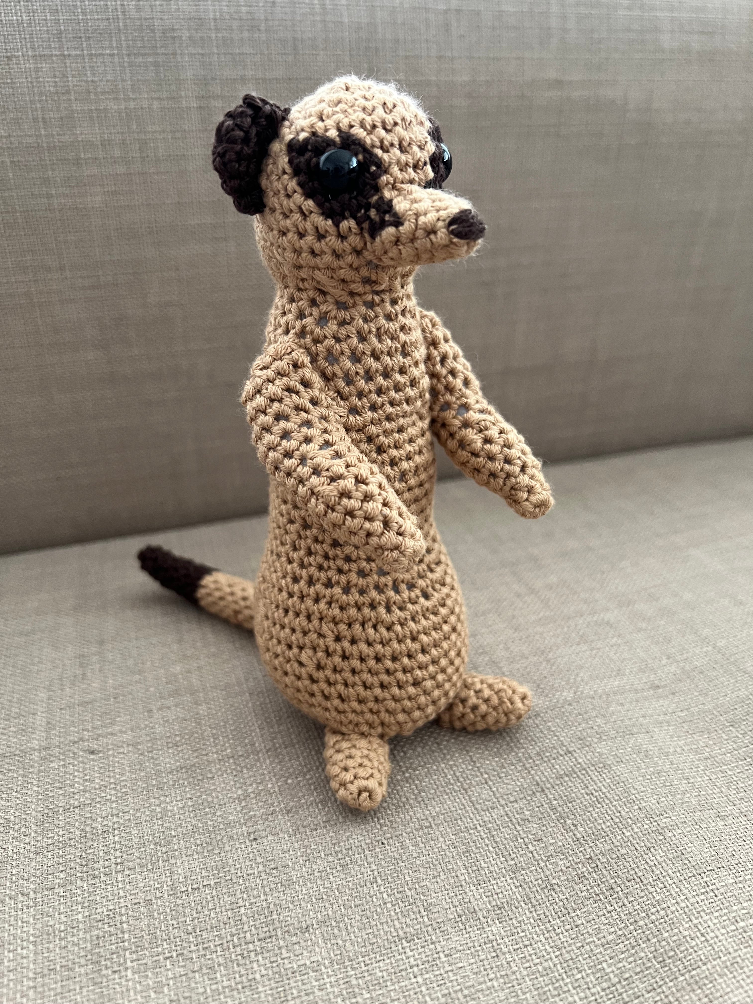 Erdmännchen Fredy