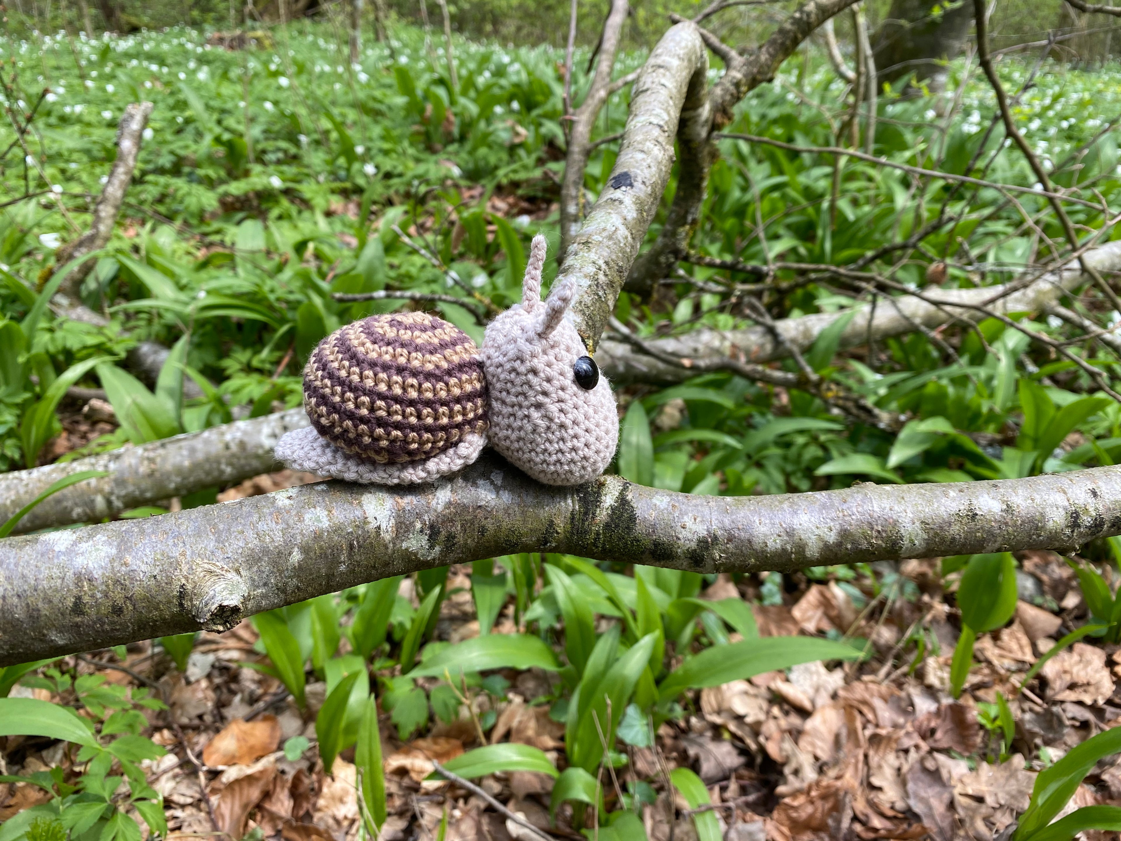 Schnecke Susi