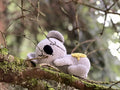 Koala Emma