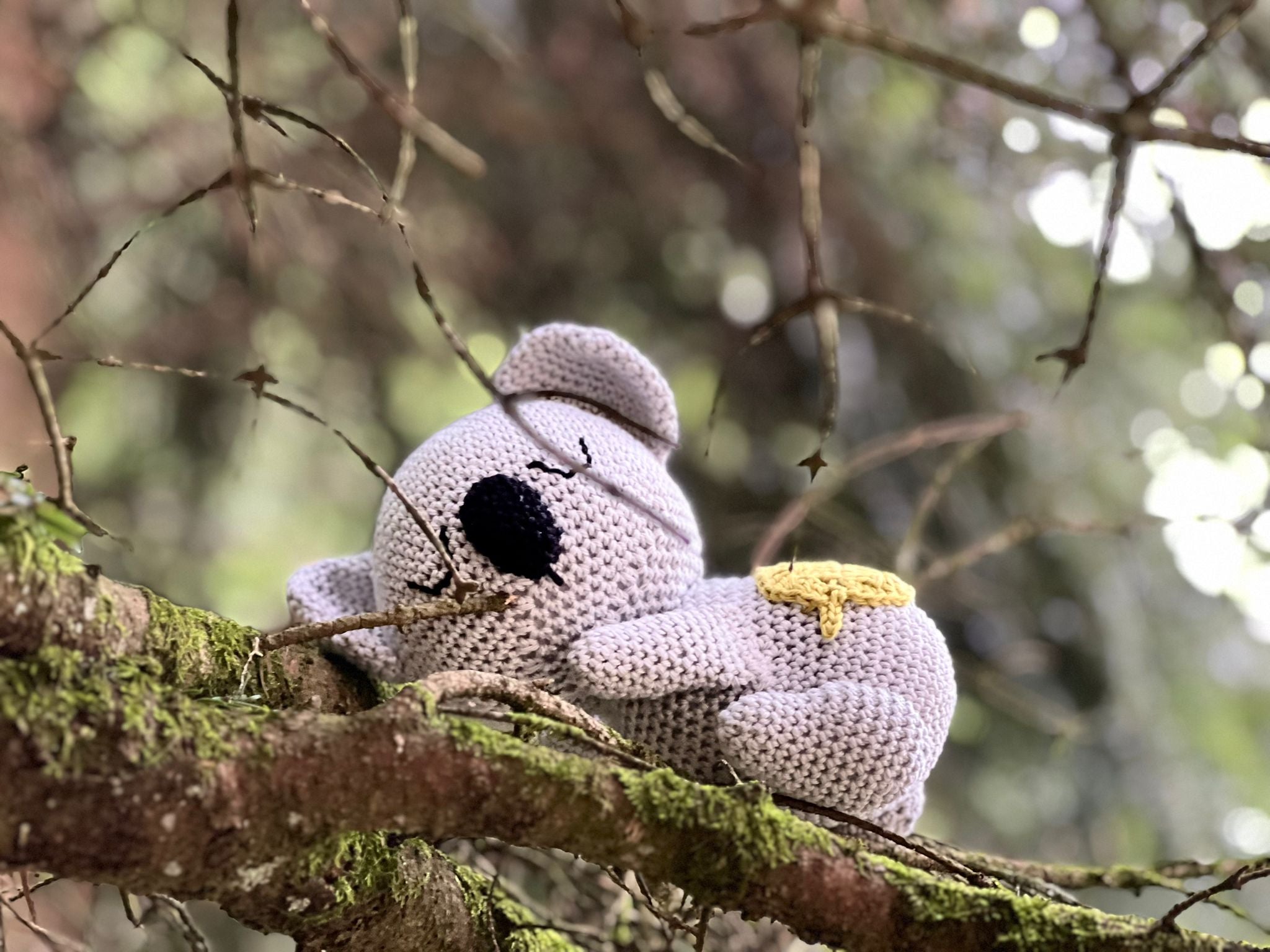 Koala Emma